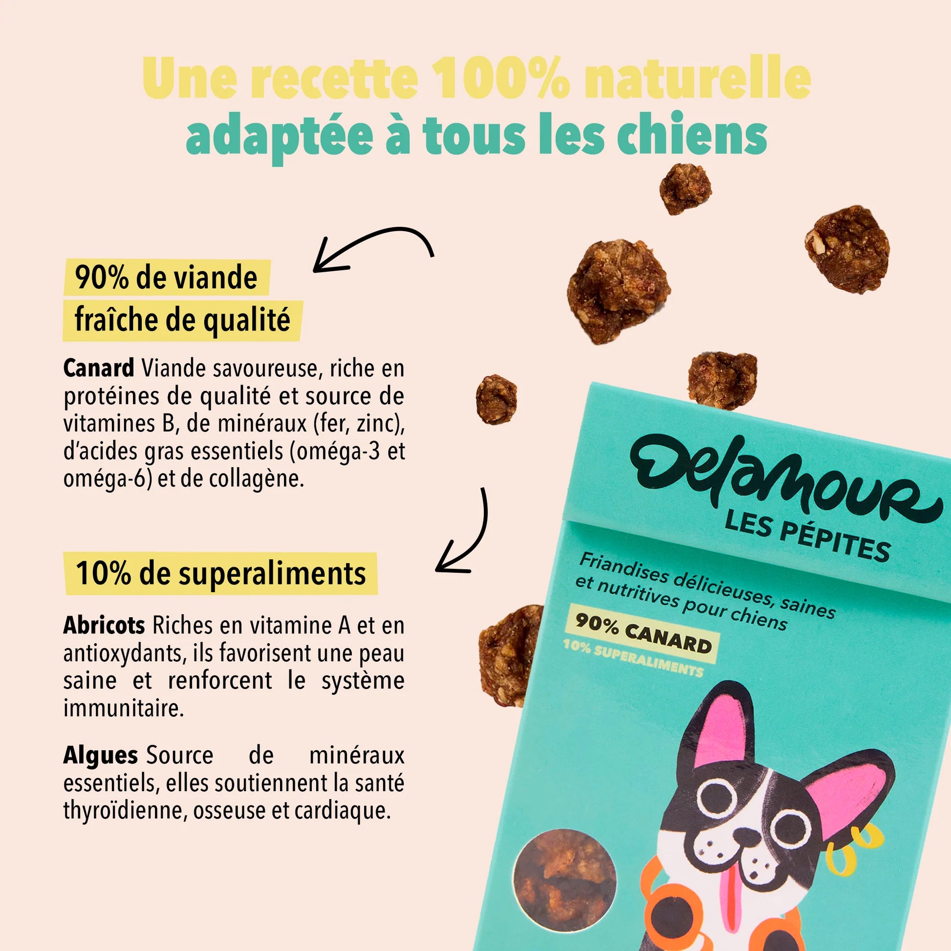 FRIANDISES POUR CHIEN CANARD