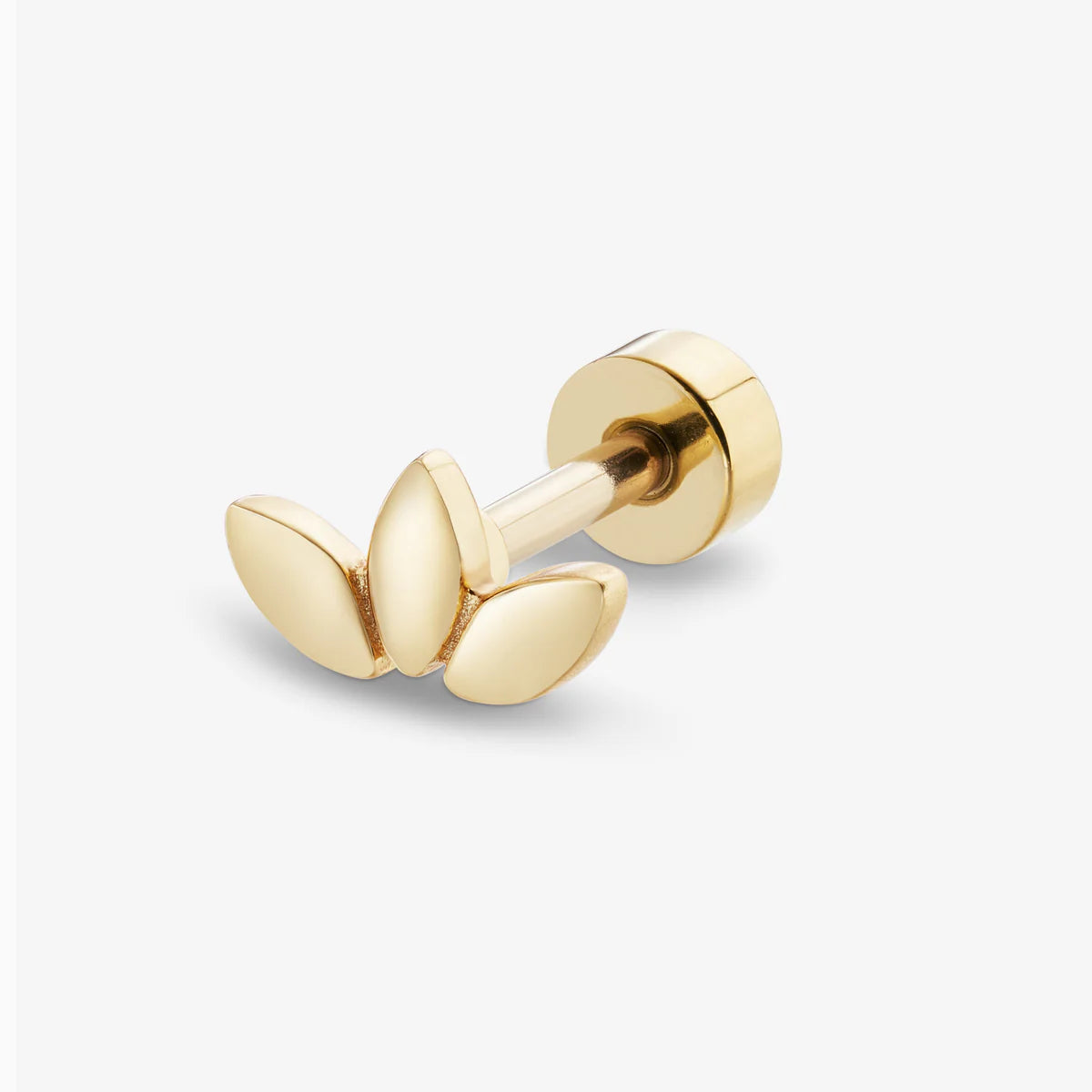PIERCING MUSE