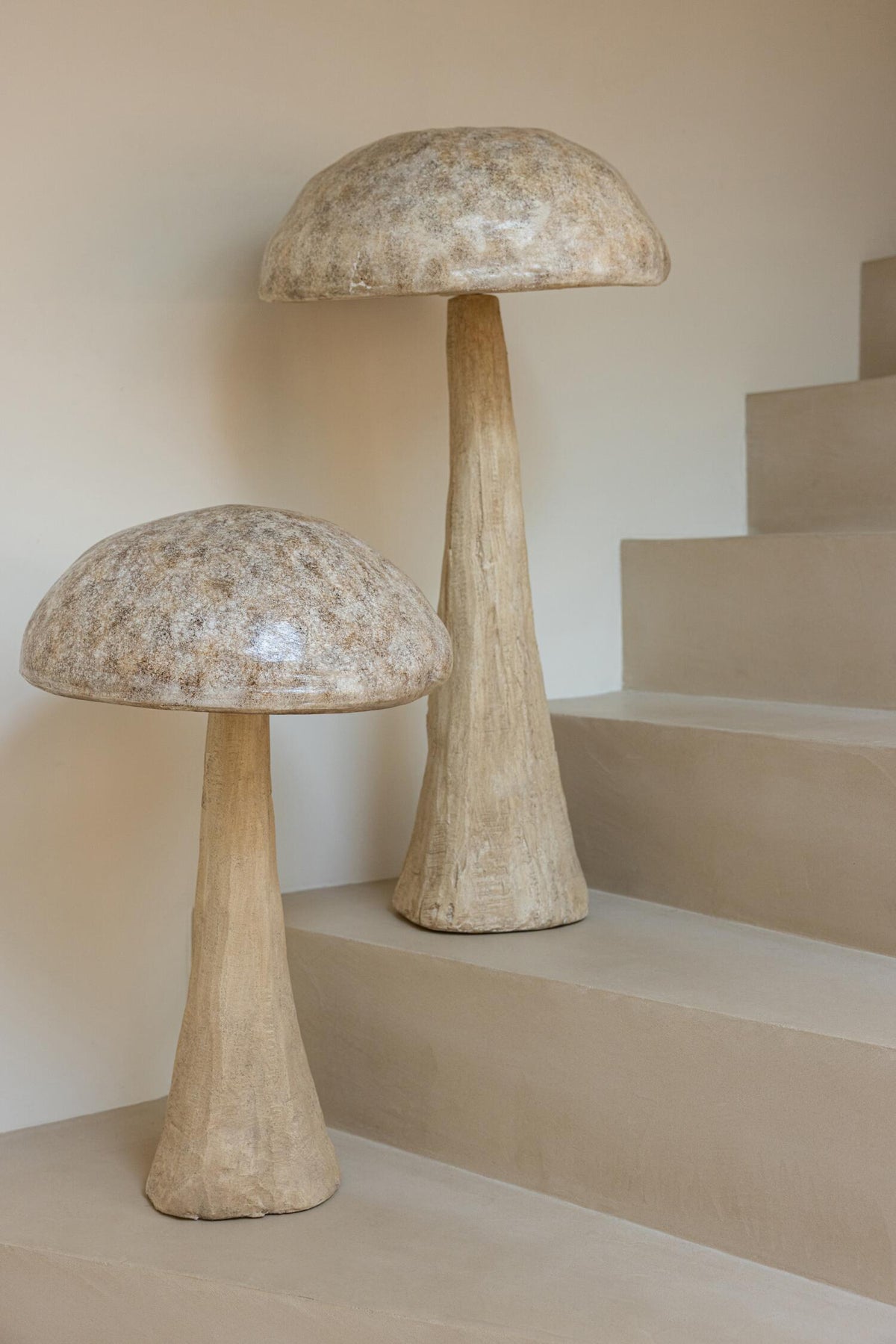CHAMPIGNON MAGNE 269609