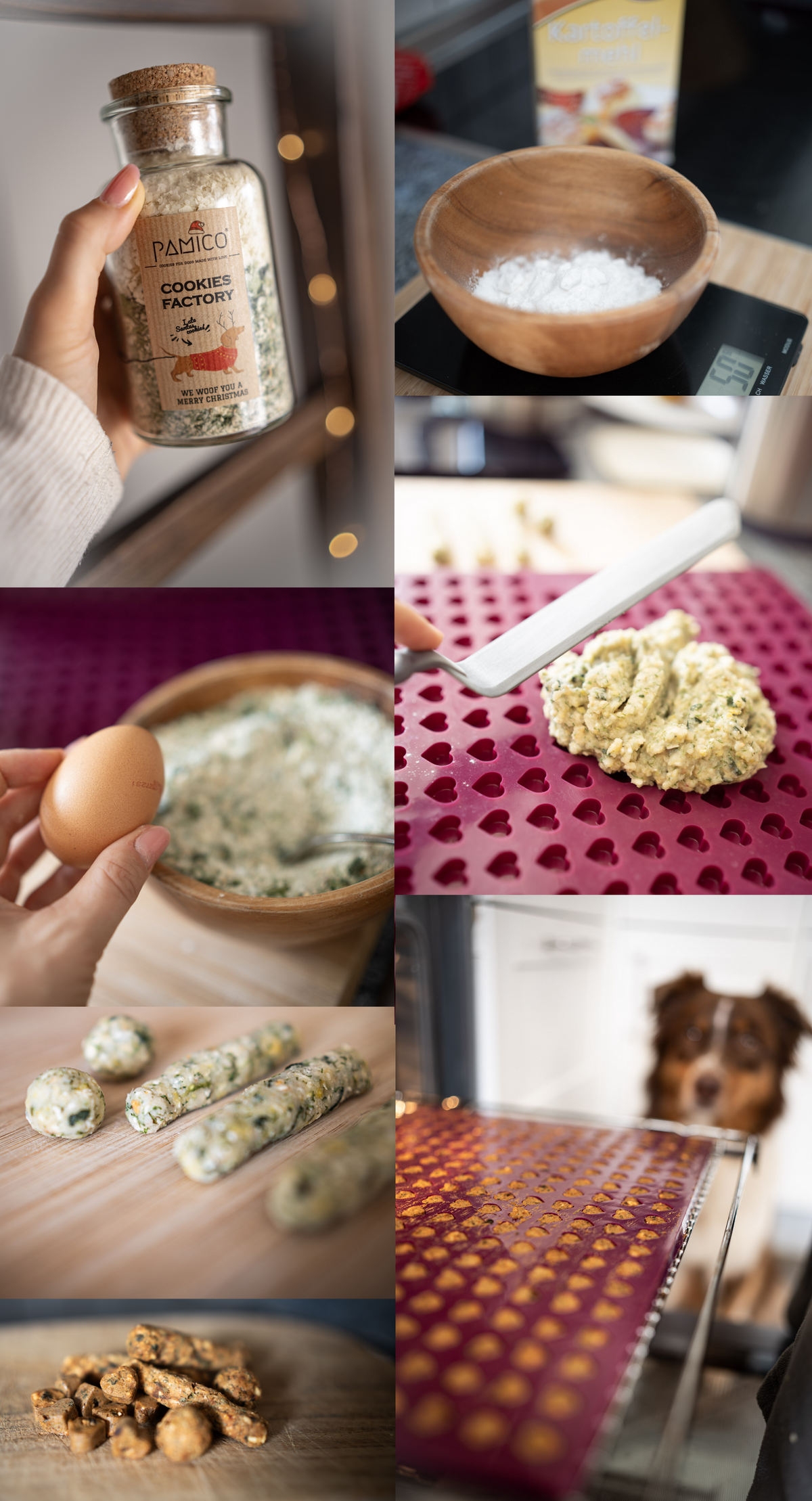 PRĂPARATION COOKIES POUR CHIEN