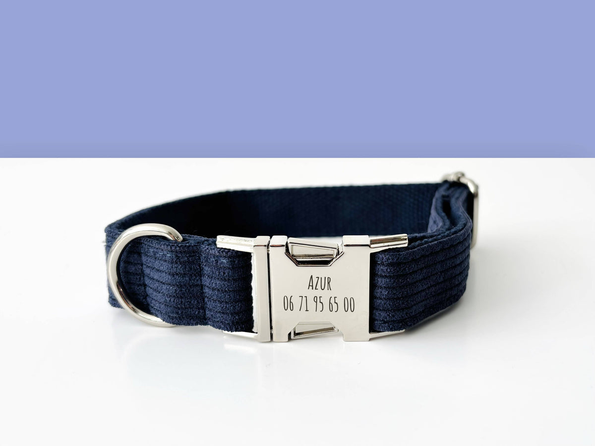COLLIER CHIEN MARINE