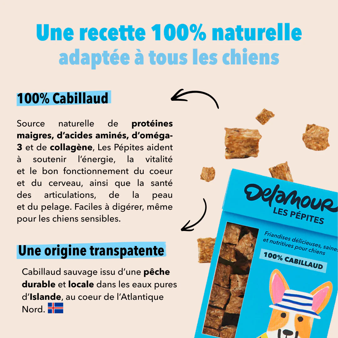 FRIANDISES POUR CHIEN CABILLAUD