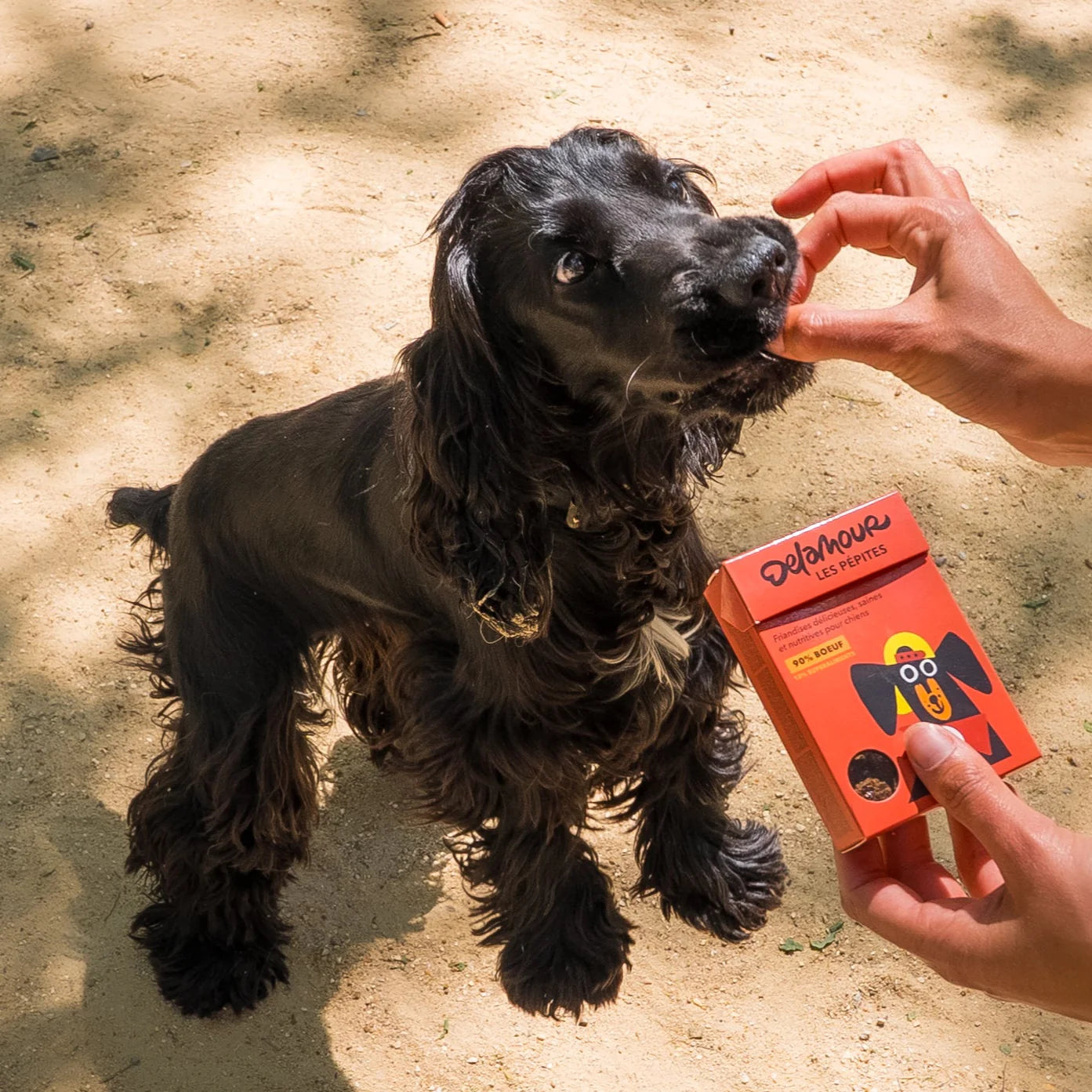 FRIANDISES POUR CHIEN BŒUF
