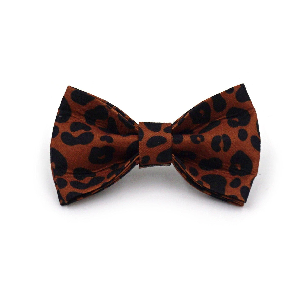 NOEUD LEO