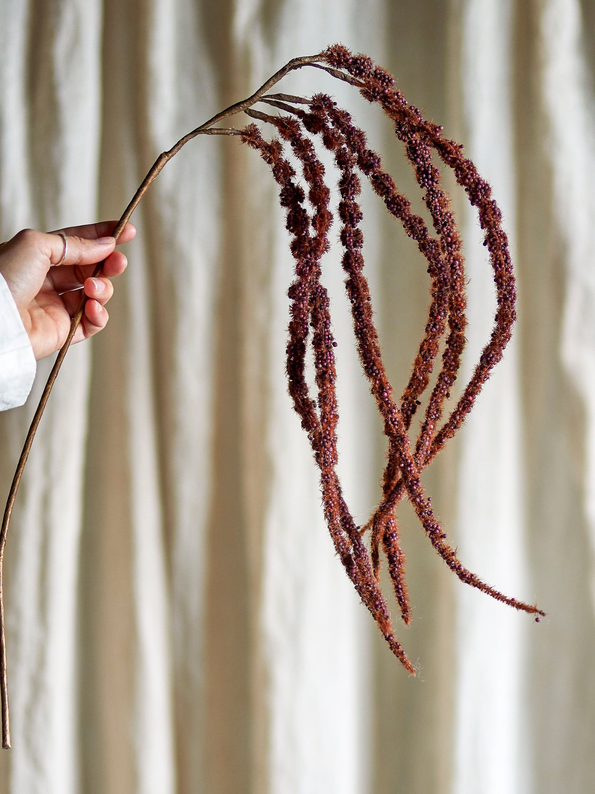 TIGE FLEUR MARRON