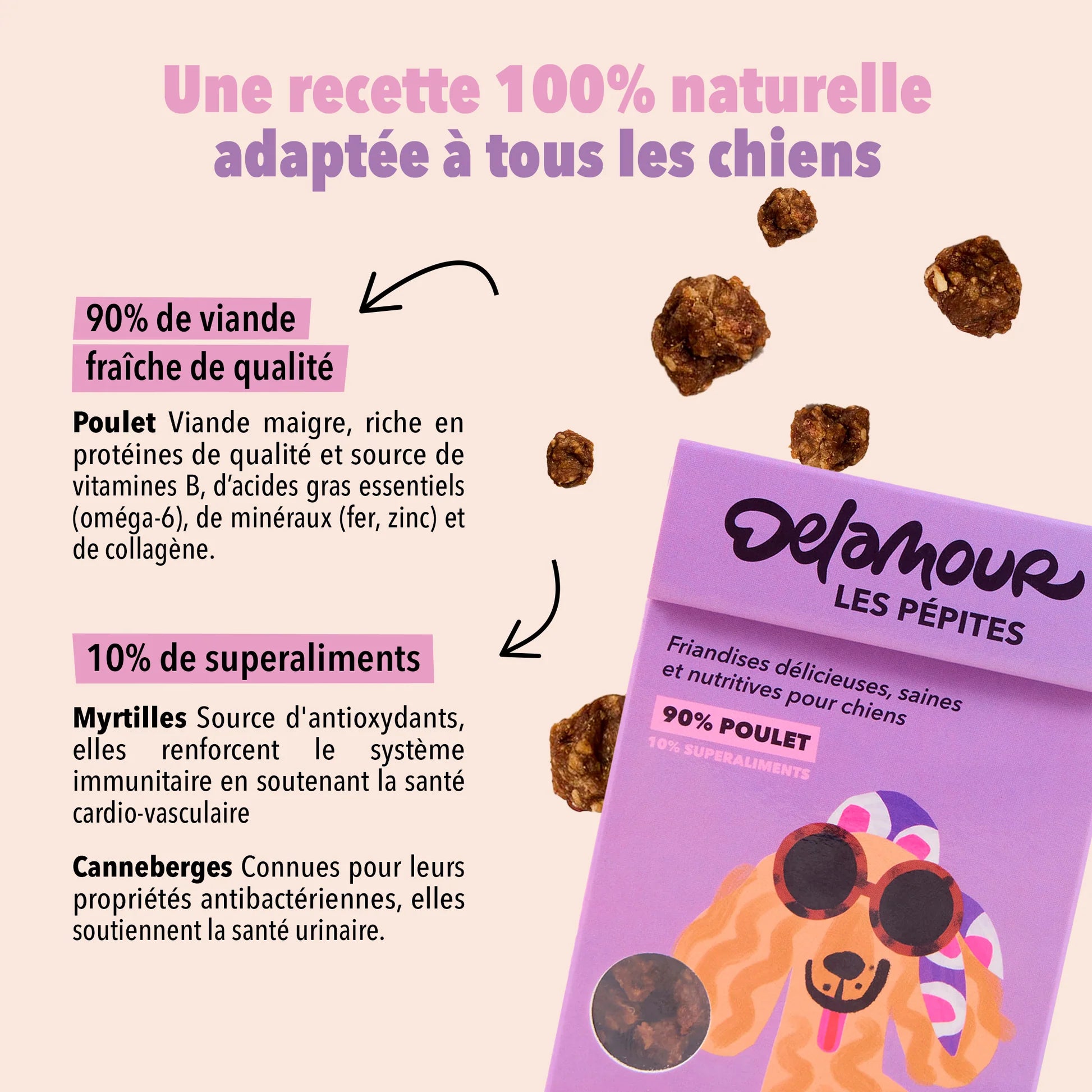 FRIANDISES POUR CHIEN POULET