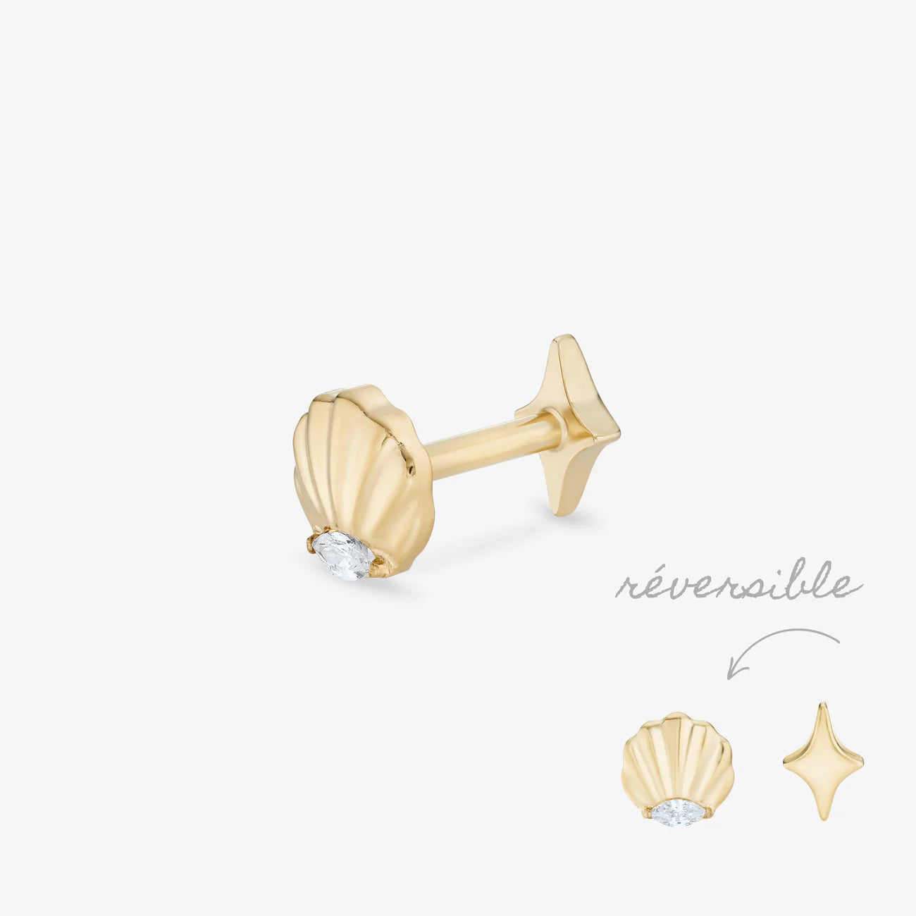 PIERCING SEASHELL TITANE