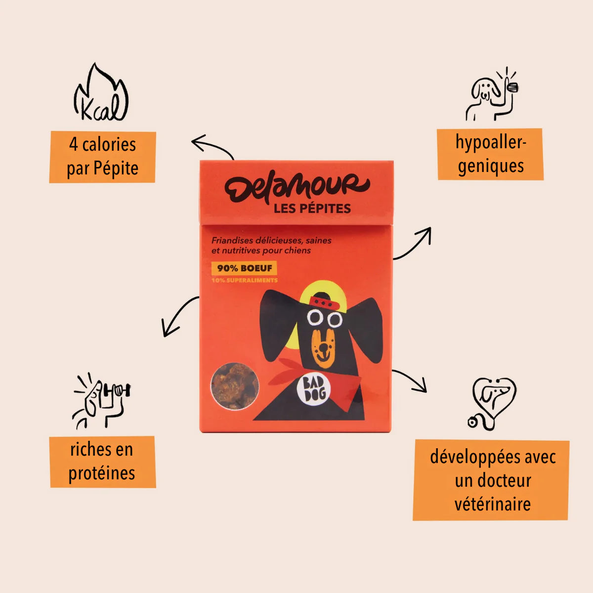 FRIANDISES POUR CHIEN BŒUF