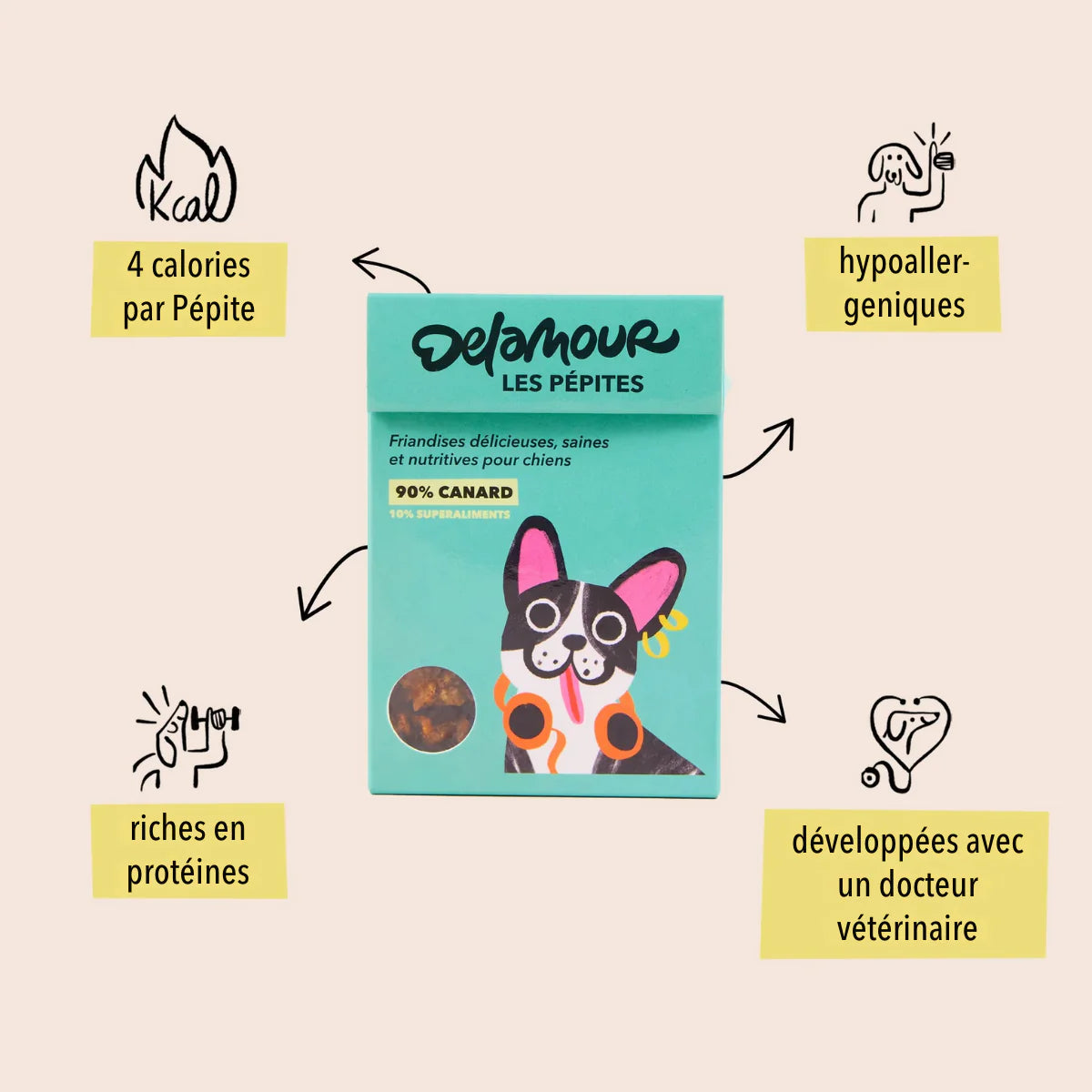 FRIANDISES POUR CHIEN CANARD