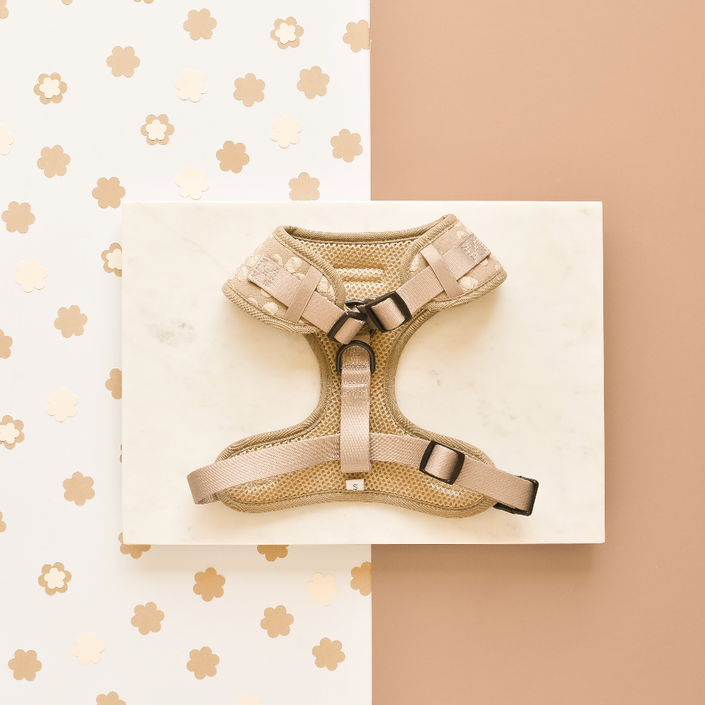 Harnais ajustable LUXE - Fleurs moka