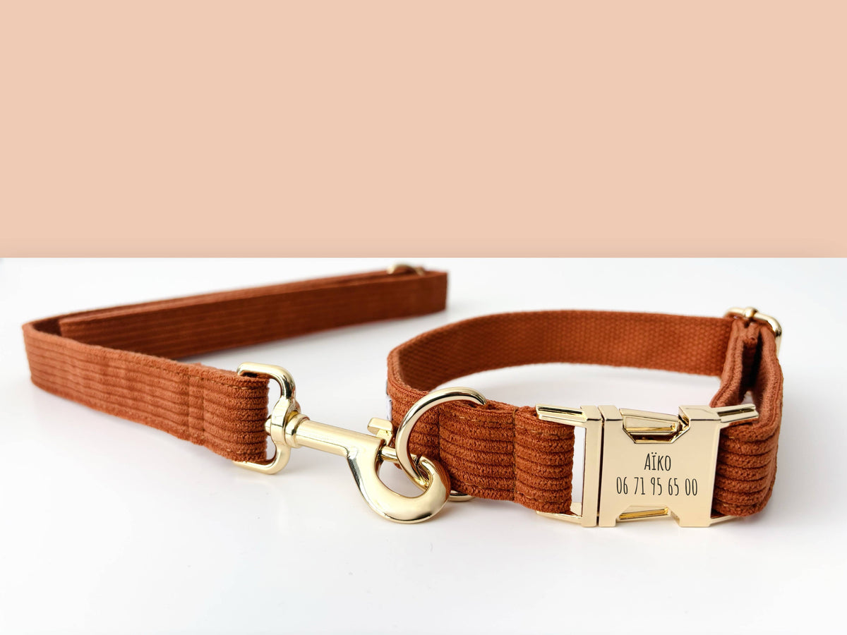 COLLIER CHIEN ROUILLE