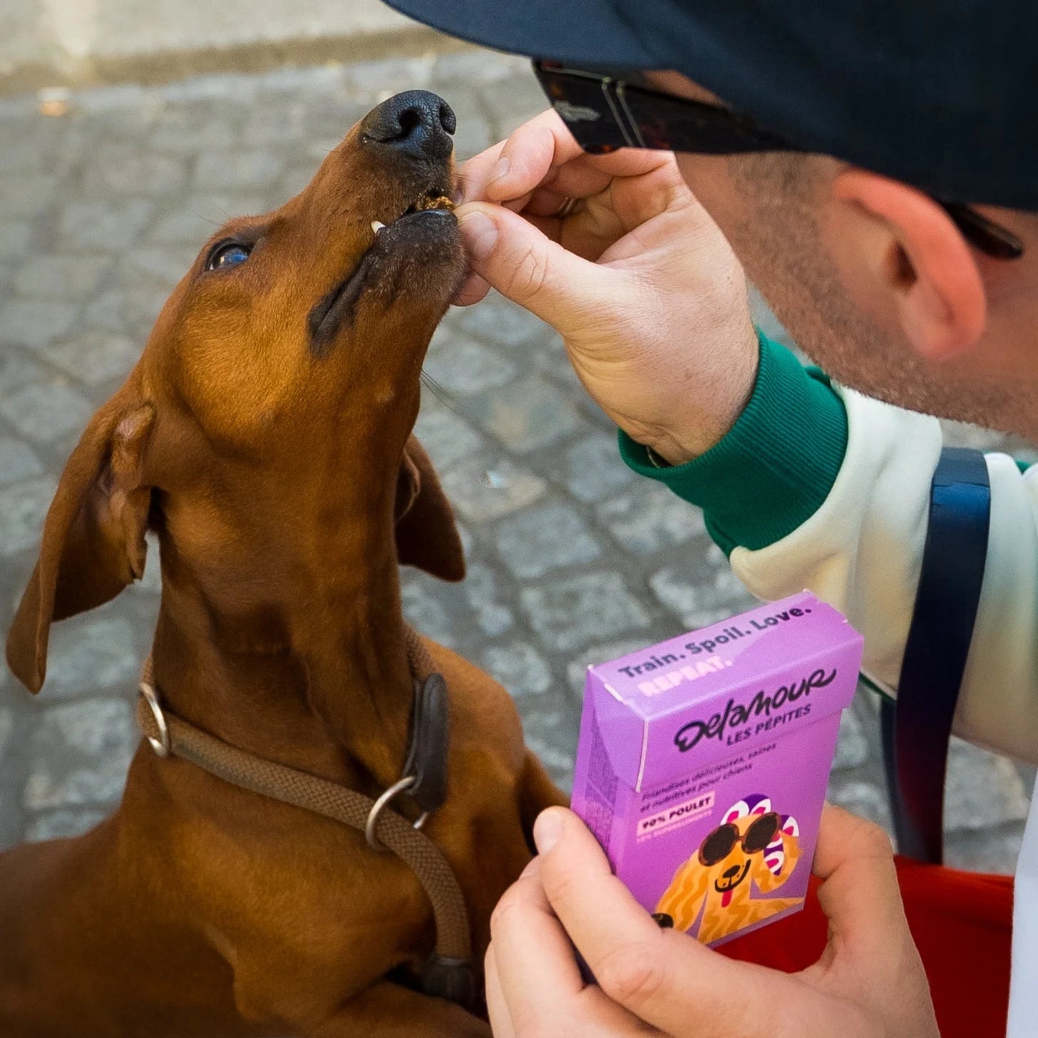 FRIANDISES POUR CHIEN POULET
