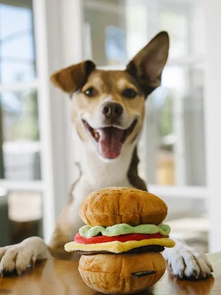 JOUET CHIEN HAMBURGER 🍔