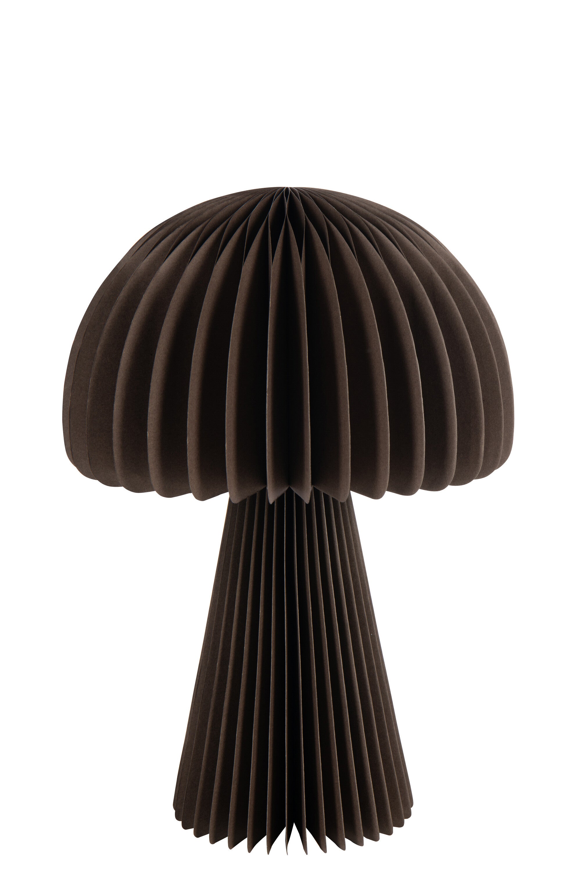 CHAMPIGNON PLIABLE PAPIER MARRON