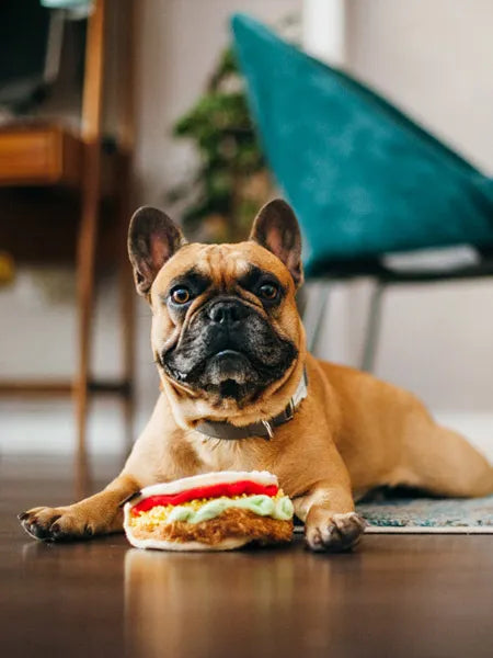 JOUET TACOS