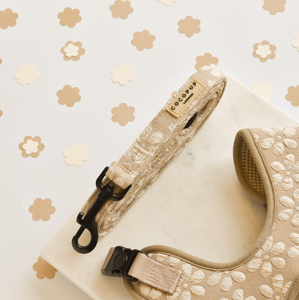 Laisse LUXE - Fleur Mocha