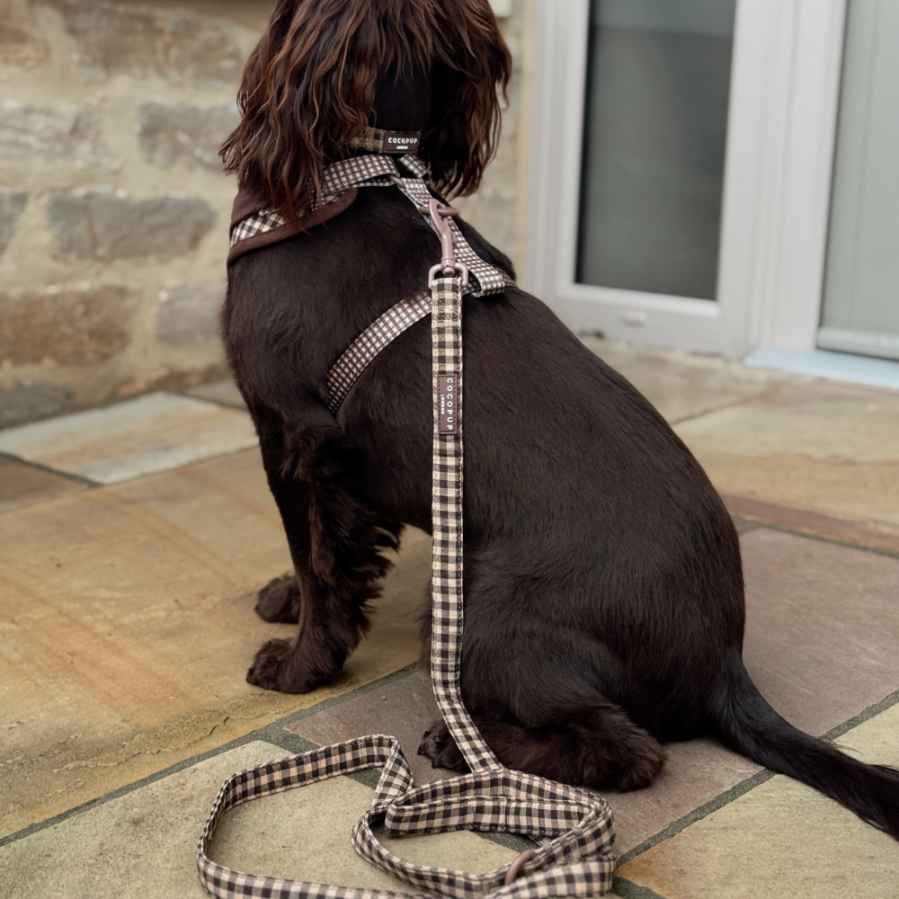 LAISSE CARREAUX MARRON