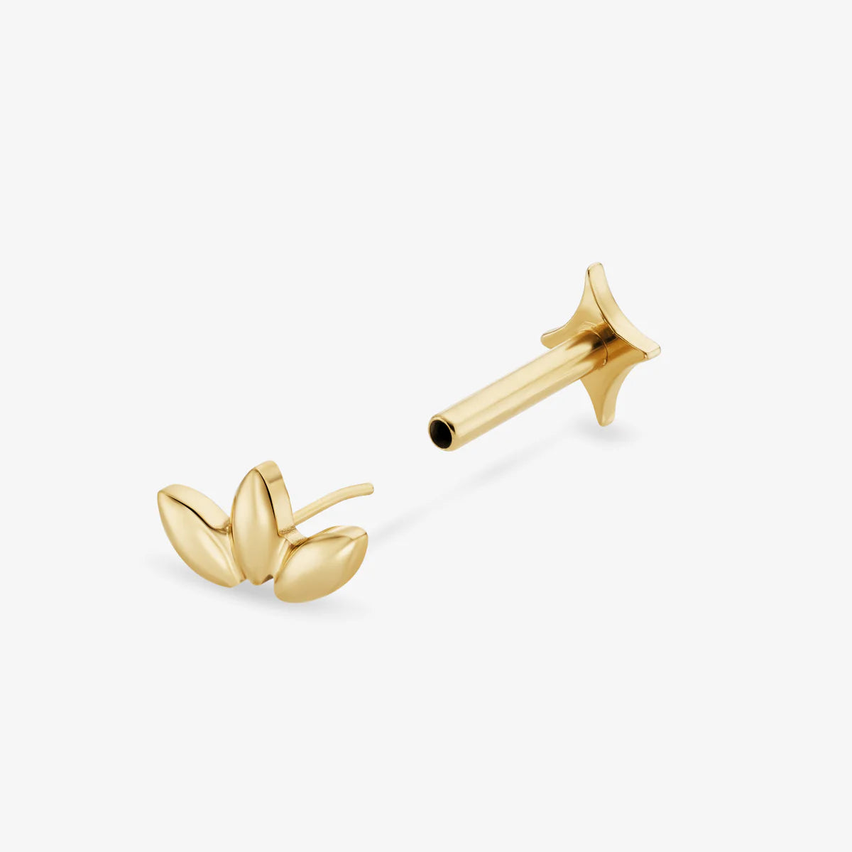 PIERCING MUSE TITANE