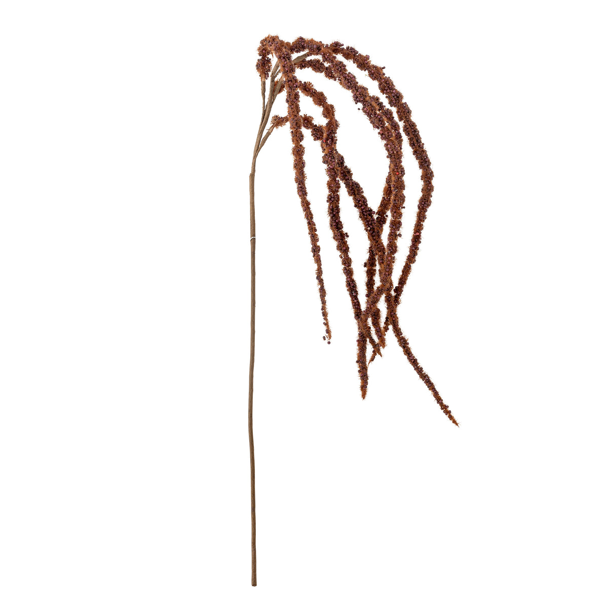 TIGE FLEUR MARRON