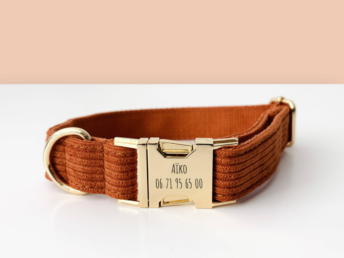 COLLIER CHIEN ROUILLE