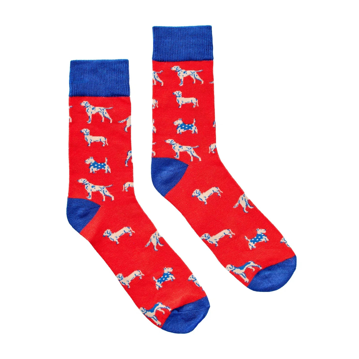CHAUSSETTE CHIEN