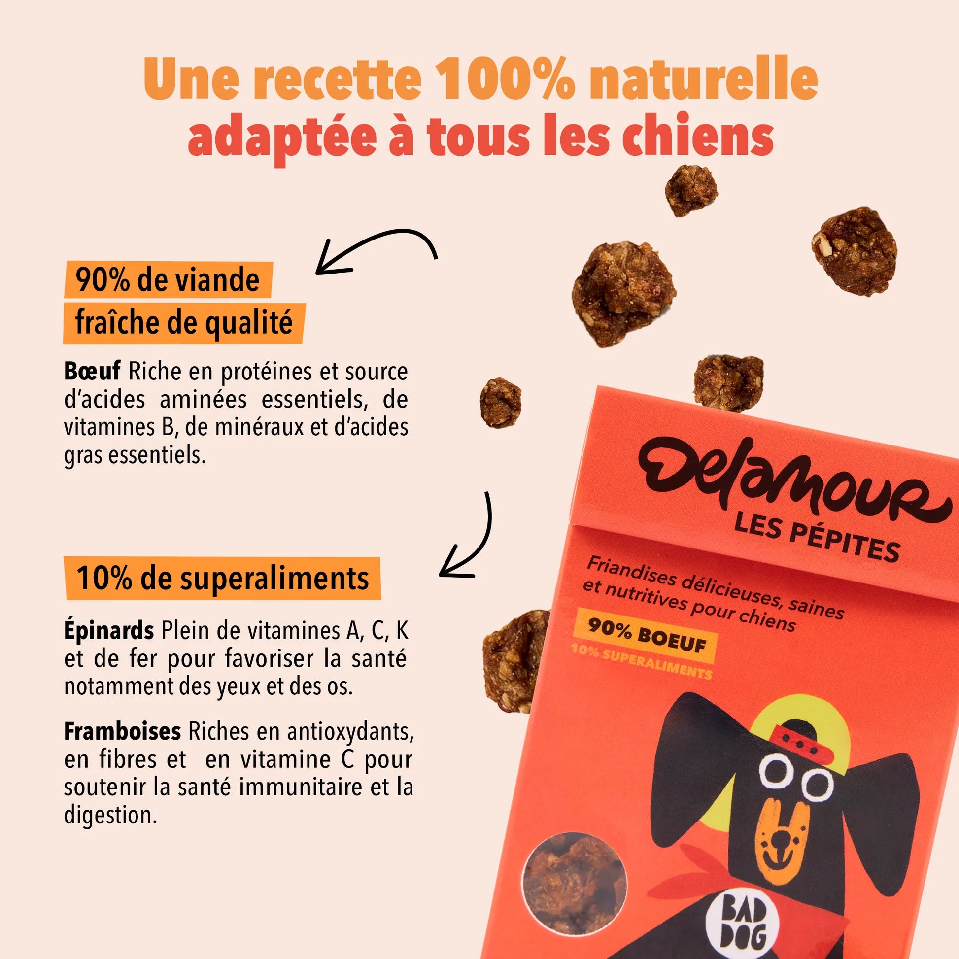 FRIANDISES POUR CHIEN BŒUF