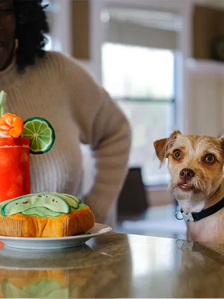 JOUET CHIEN AVOCADO TOAST 🥑