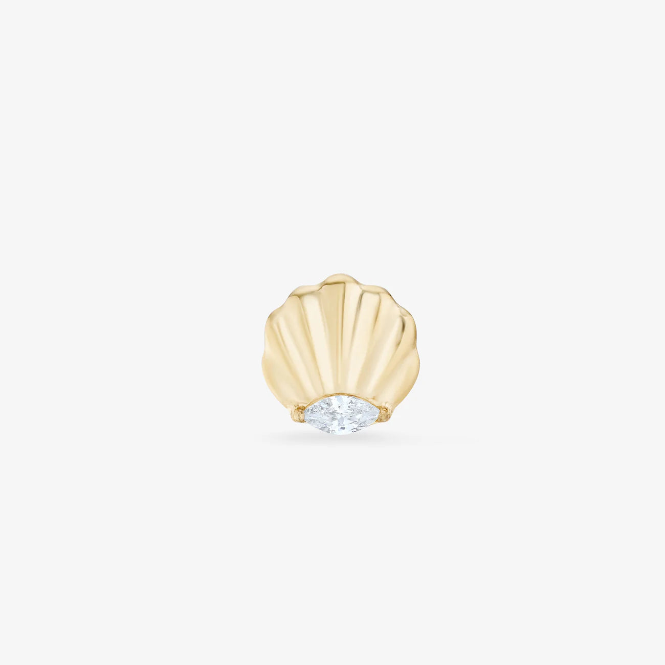 PIERCING SEASHELL TITANE