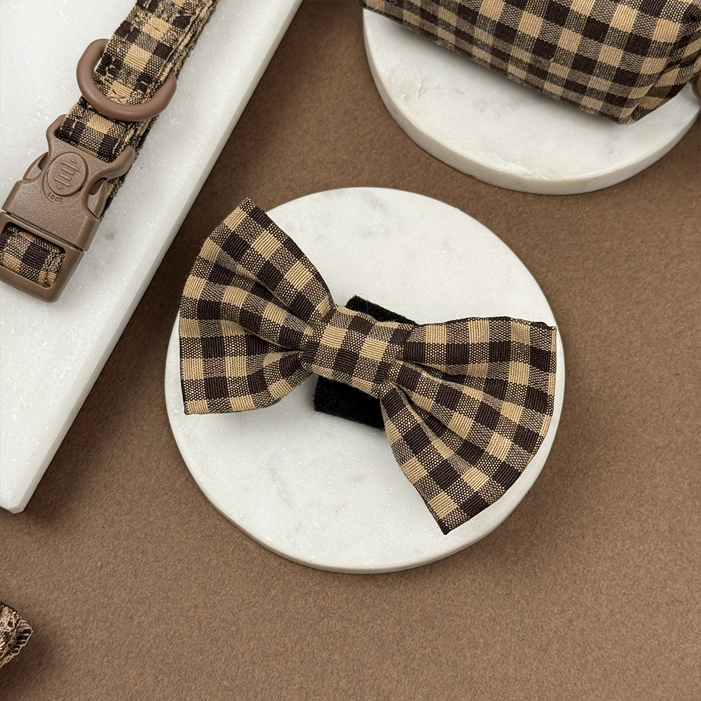 NOEUD PAPILLON CARREAUX