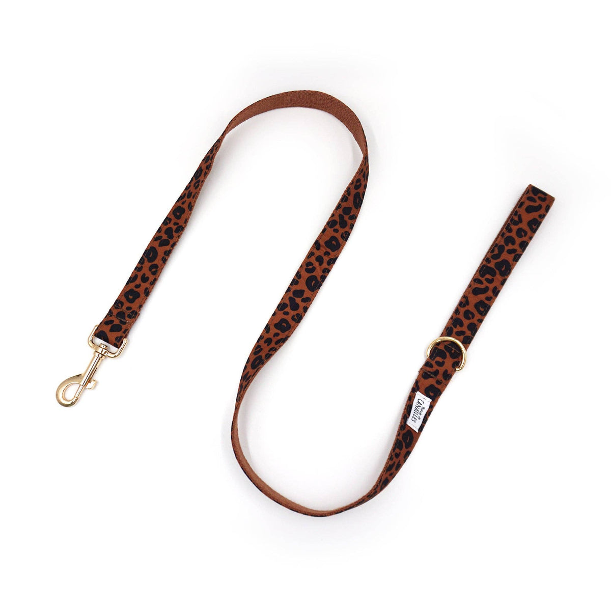 LAISSE CHIEN LEO